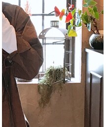 Champion | Tシャツ/カットソー