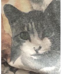 VINTAGE | Tシャツ/カットソー