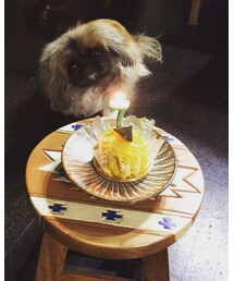 去年の誕生日 | その他