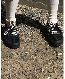 VANS | スニーカー