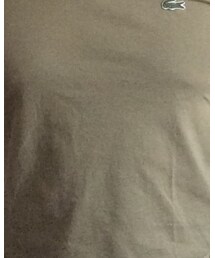 LACOSTE | Tシャツ/カットソー