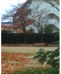 Name. | ブルゾン