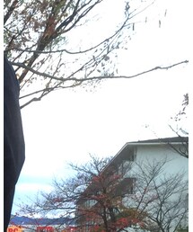 Name. | ニット/セーター