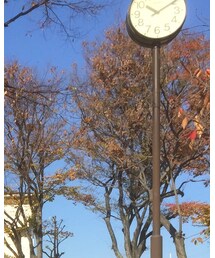 CA4LA | キャップ