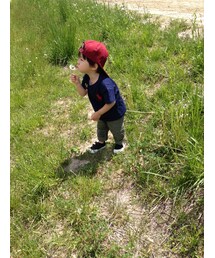 POLO RALPH LAUREN | Tシャツ/カットソー