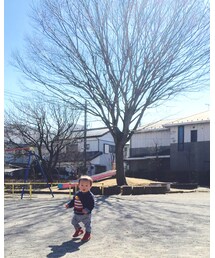 Birthday | ニット/セーター