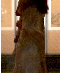 niko and... | ワンピース