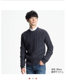 UNIQLO | ニット/セーター