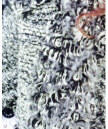 SNIDEL | ジャケット/アウター