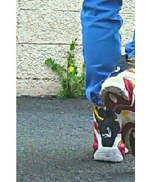 Reebok | シューズ