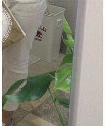 sea code | クラッチバッグ