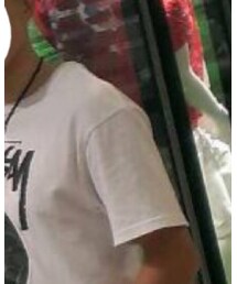 STUSSY | Tシャツ/カットソー