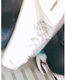 American Apparel | トートバッグ