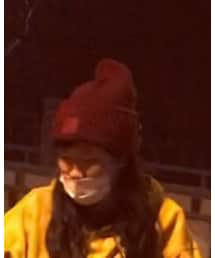 Acne Studios | ニットキャップ/ビーニー