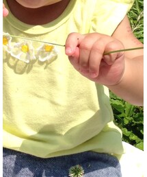 petit main | Tシャツ/カットソー