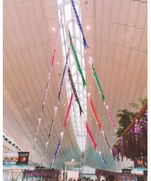 🎏🎏🎏 | その他