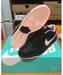 NIKE SB | スニーカー