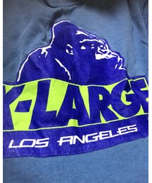 XLARGE | Tシャツ/カットソー