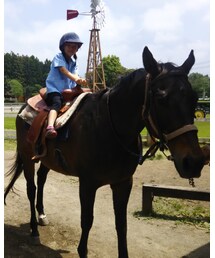 親子遠足🐎 | その他