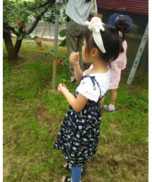 さくらんぼ🍒 | その他