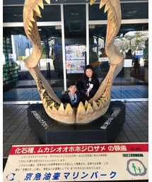 油壺マリンパーク | その他