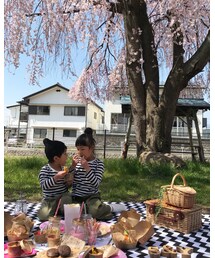お花見🌸 | その他