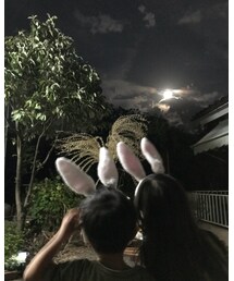 十五夜🌕🌕 | その他