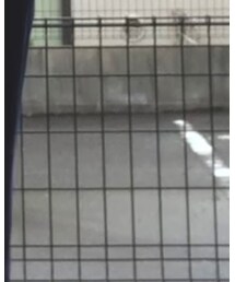 POLO RALPH LAUREN | パンツ