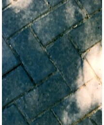 MUJI Labo | スカート