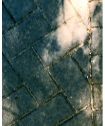 melissa | サンダル