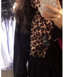 Oasis | マフラー