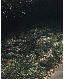 UNIQLO | その他パンツ