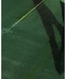 ROCKPORT | ブーツ