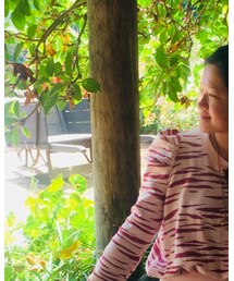 FENDI | サングラス