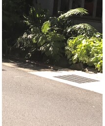 H&M | ワンピース