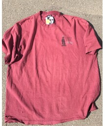 STUSSY | Tシャツ/カットソー