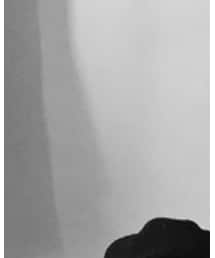 GDC | ハンチング/ベレー帽