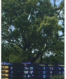 Kappa | ポロシャツ