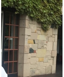 TOMMY HILFIGER | ポロシャツ