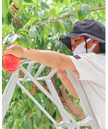 summer vacation | その他