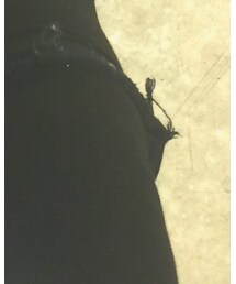 TOPSHOP | デニムパンツ