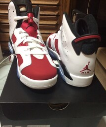AIR JORDAN | Air Jordan6 carmine(スニーカー)