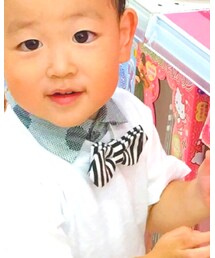 'PalinkA | その他