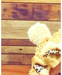 がぉーーー | その他