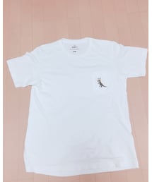 UNIQLO | シャツ/ブラウス