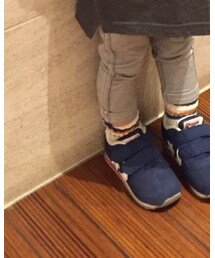 BRANSHES | ソックス/靴下