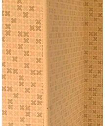 SUNDAY WORKS | Tシャツ/カットソー