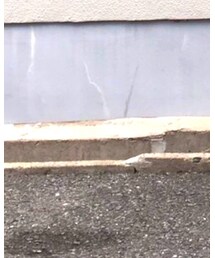 NIKE | その他シューズ