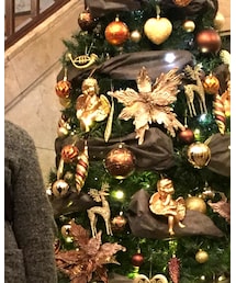 Engineered Garments | テーラードジャケット