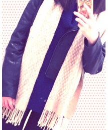 大丸 | マフラー